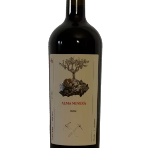 Malbec Roble