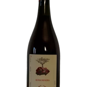 Rosado de Malbec