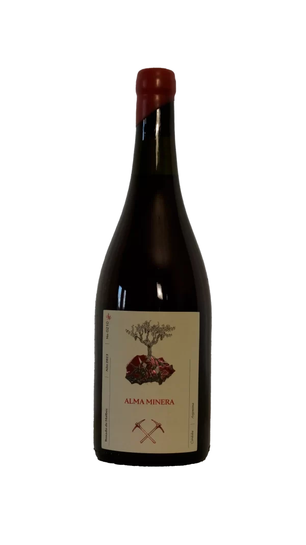 Rosado de Malbec